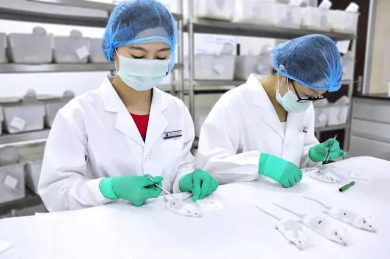 解读医疗技术研究所:科研与创新的摇篮